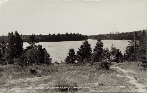 Perch lake Newberry