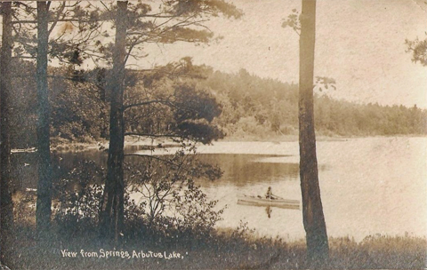 arbutus lake
