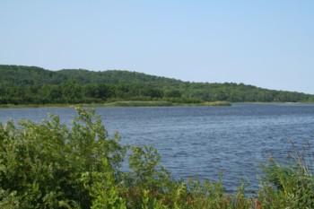 arcadialakemanisteecounty