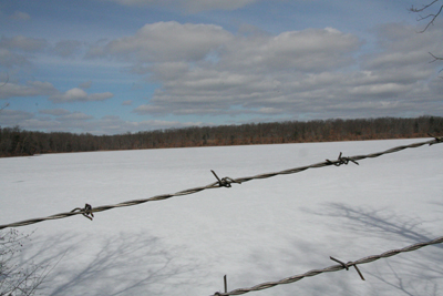 conoverlake
