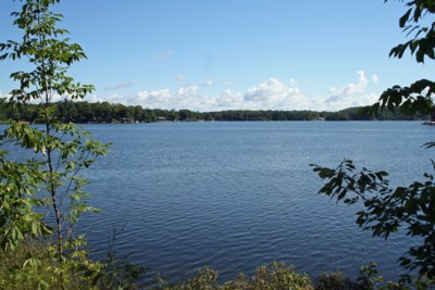 crotonpond