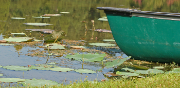 Green-Boat-at-Lake