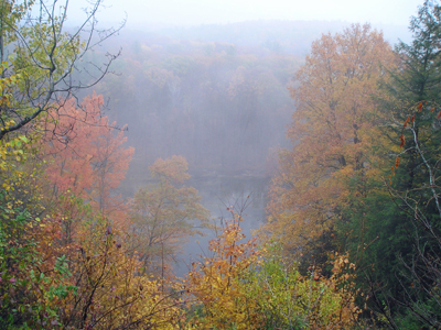 michiganfall
