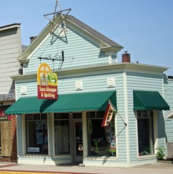 newaygodowntown2