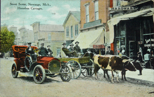newaygopostcard