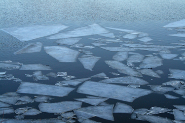 schoolsectionlakeoceana