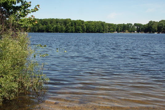 selkirklake