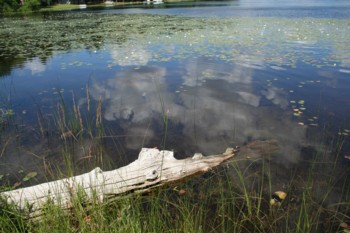 whalenlake