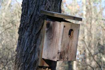 birdhouse