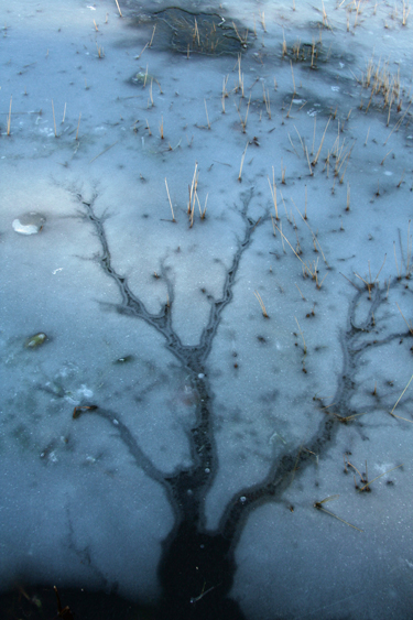crystallakemontcalmcounty