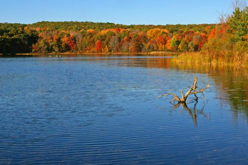 Pickerel-Lake-in-the-Fall