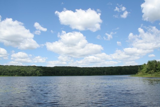pickerallake-1