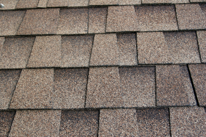 michiganshingles