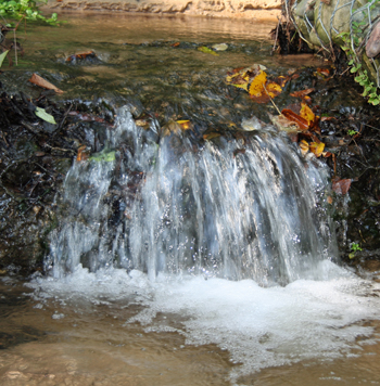 michiganwatershed