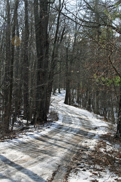 michiganwinterstreet