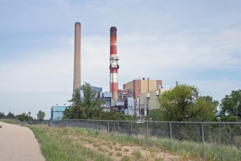 pigeonlakeplant